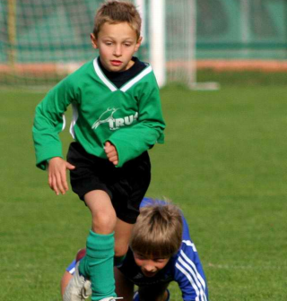 Učení somatotypu-služba Učení somatotypu-služba