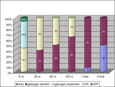 Zdroje energie ve vztahu k trvání činnosti